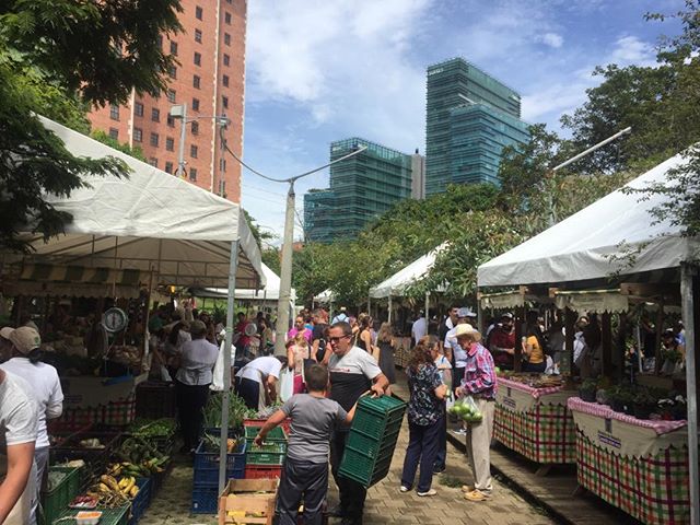 Farmers Market! 🌳🌱🌎🇨🇴
If you are on a Sunday in Medellín, this is an obligatory stop! 😍 you get the chance to buy fresh and organic vegetables and fruits and try amazing local food like arepa de huevo and empanadas! .
.
.
.
.
.
.
.
.
#travelforjustice #farmersmarket #mercadocampesino #localfood #organicfood #ethicalconsumerism #productoslocales #medellin #parquelineallapresidenta #antioquia #elpoblado #campesinos #supportagro #comidasaludable #healthyfood #sunnyday #highlight #sundayvibes #comidacolombiana #streetfood