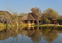 10 Best Lodges for a Family Safari in Africa Camp Jabulani