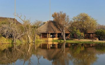 10 Best Lodges for a Family Safari in Africa Camp Jabulani