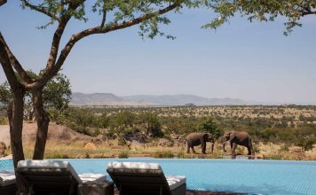 Why Book An All Inclusive African Safari Luxury African Safari