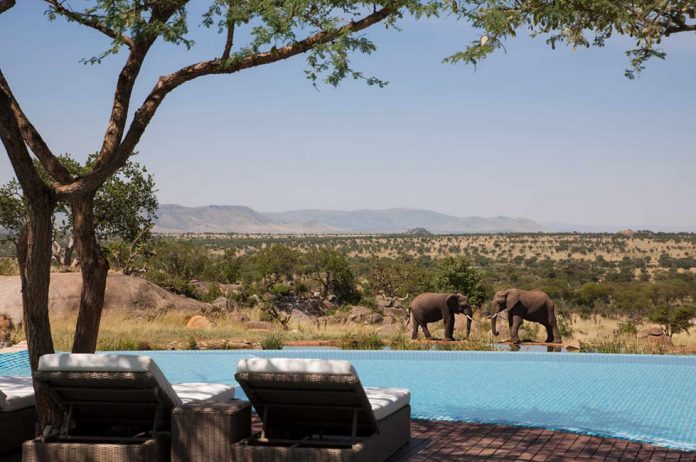 Luxury African Safari