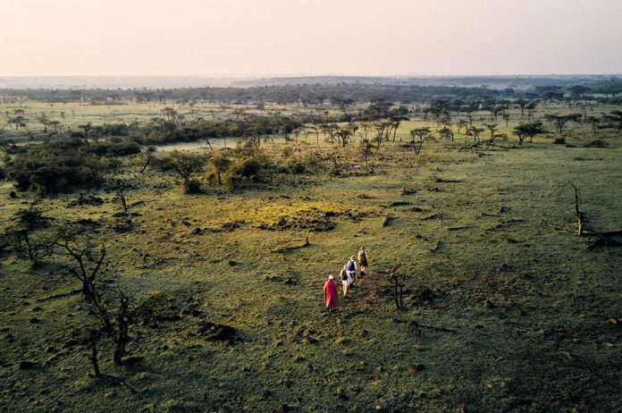 Walking Safari in Africa