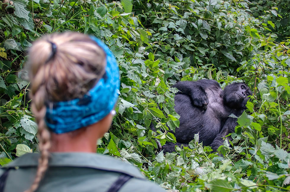 Planning a Gorilla Trekking Safari