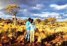 Best 5 Honeymoon Safari Destinations in Africa Honey Moon in Africa