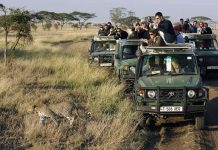 Your Guide to an Affordable Safari in East Africa East Africa Safari