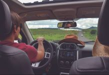 Ultimate Guide to Self-Drive Safaris in Africa Self Drive in Africa